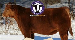 Desktop Screenshot of capatskecattleco.com