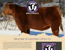 Tablet Screenshot of capatskecattleco.com